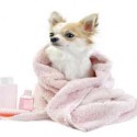 A Pampered Pet is a Happy Pet!